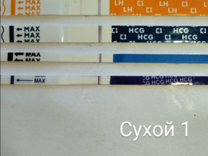 10 дпо. Хоть бы мои ?