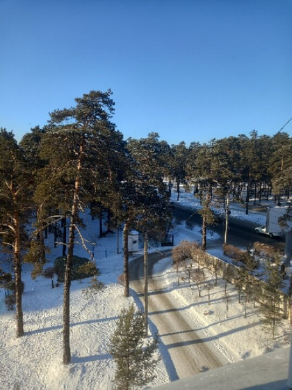 5 дней? 11 уколов