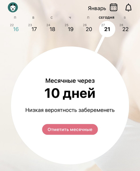 6️⃣ ДПО