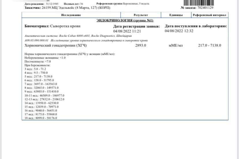 14 дпп 1 пятидневочки отличника 4 АА