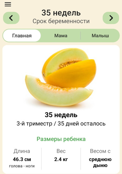 35недель