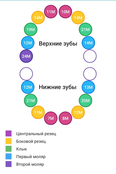Новый зубик 🦷17-й 💪🏼