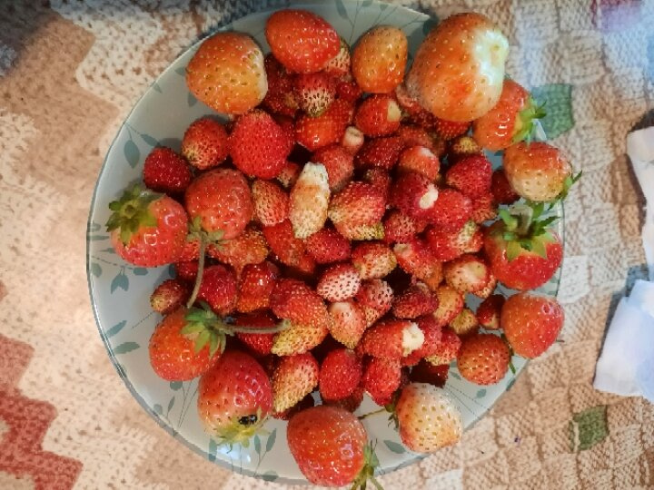 У нас октябрюль, лето