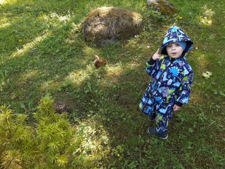 Питание многодетной семьи. Финансовая сторона. Июнь. День 4