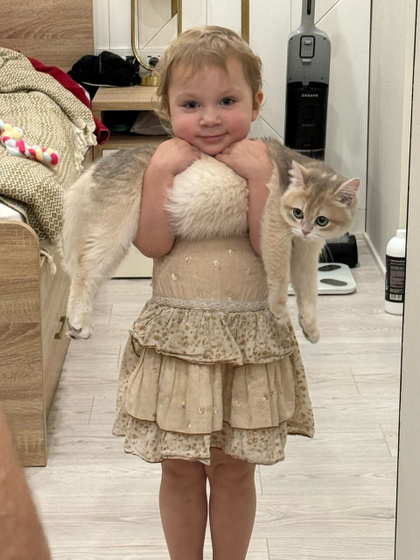 Кошку чтоль завести?