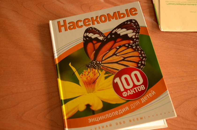 ТУ- продолжаем наши уроки о важности деревьев. Насекомые.