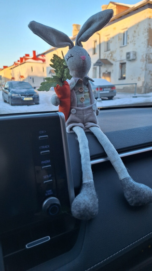 Платье не купила