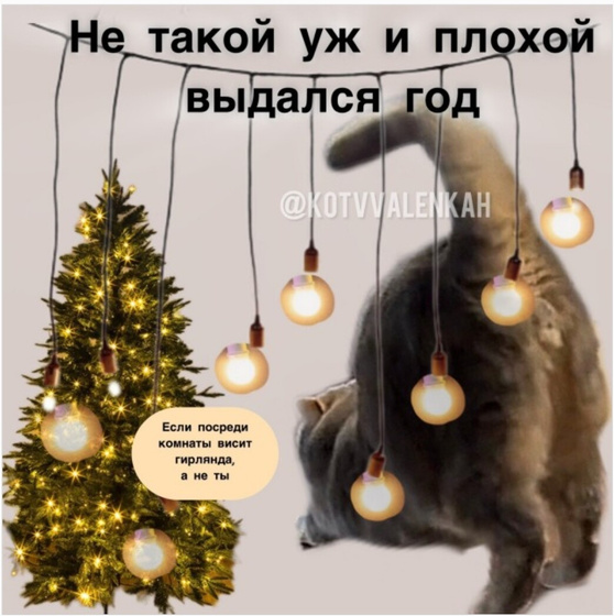 2 месяца