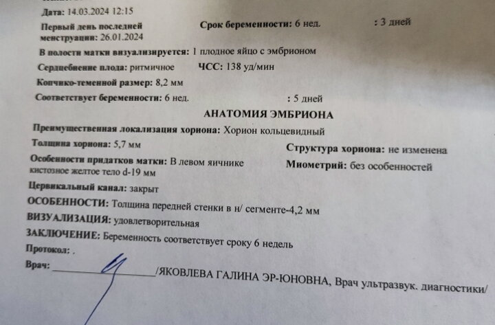 Я повторно позвонила в