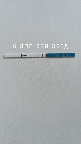 6дпп и кровь 🆘