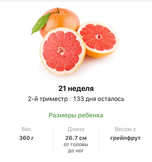 21 неделя .
