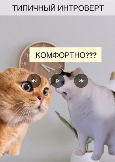 Кто со мной? 🙈🤣🤪