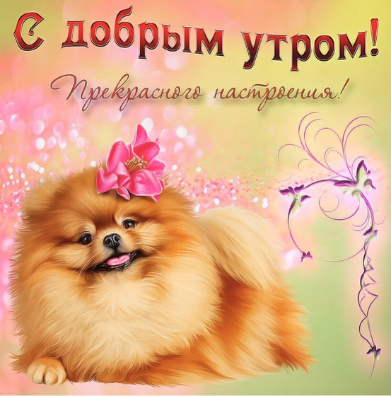 Доброе утро ?.
