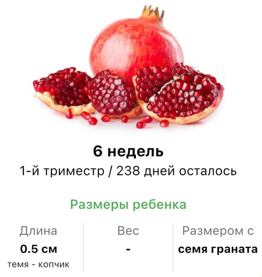 6 недель .