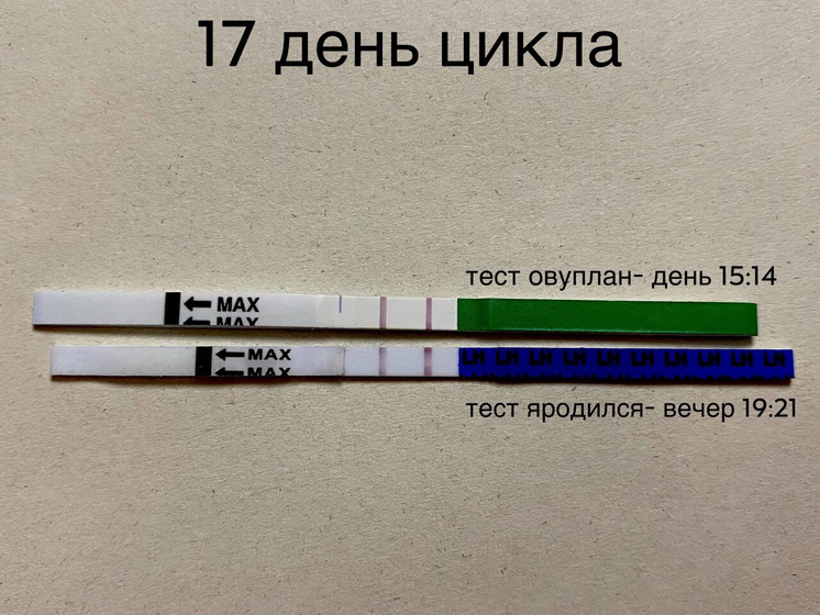 Вот так показывает овуляцию яродился ☝🏻