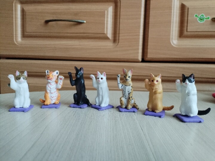Котики из КБ??