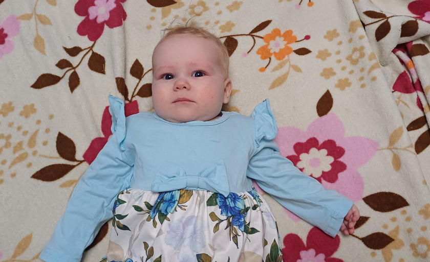 6 месяцев