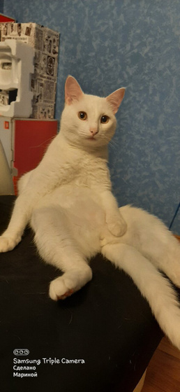 Кайф