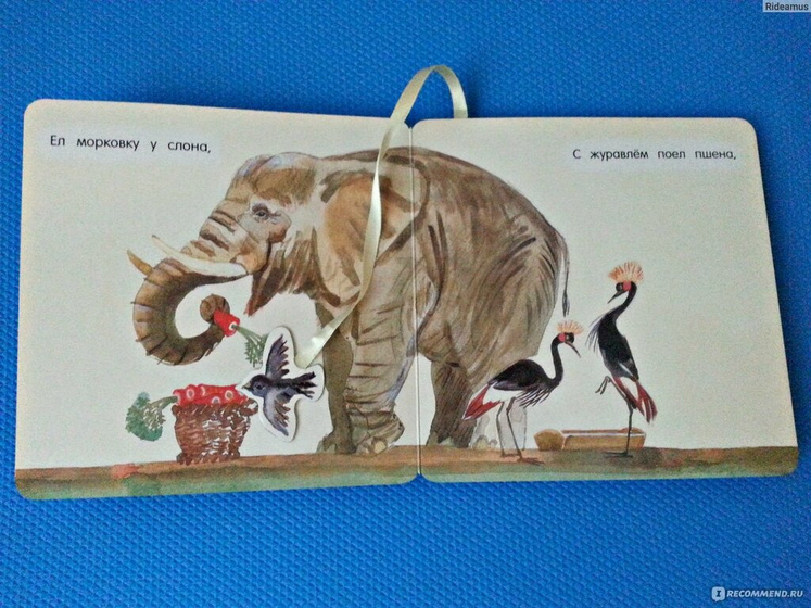 Любимая книжка?