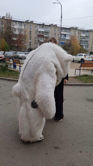 Заказала я медведя.
