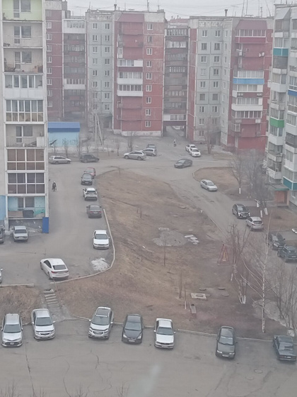 Погода. Обработка от клещей.