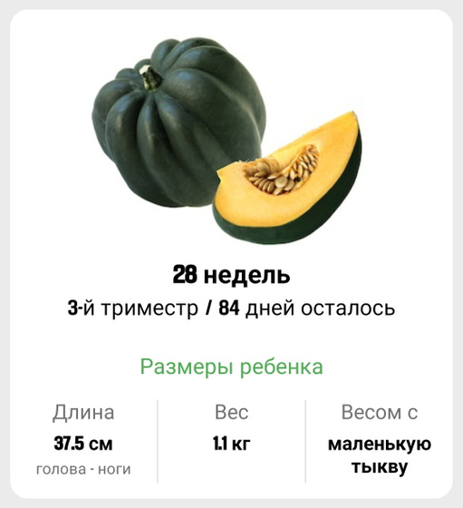 28 недель. 🎃