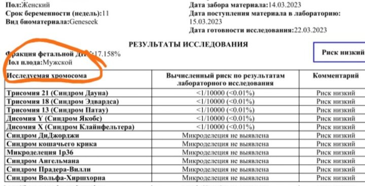 Вторая Б. Узнали пола ребенка