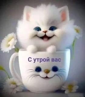 Вот проснулась в 6