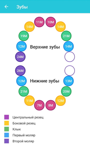 С новым зубиком нас 🥳