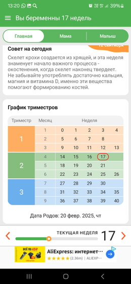 Привет 17 недель