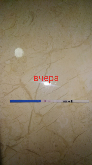 Тесты