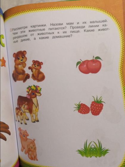 В светофоре была такая