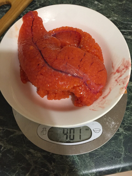 Форель