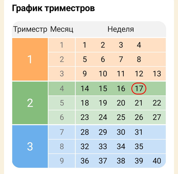 17 недель