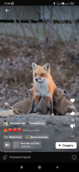 Ощущение, когда вовремя не