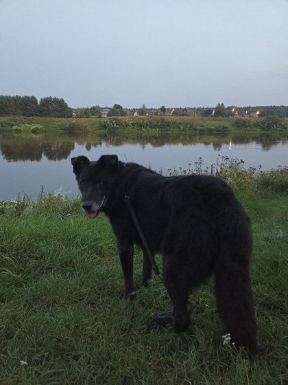 1 сентября.
