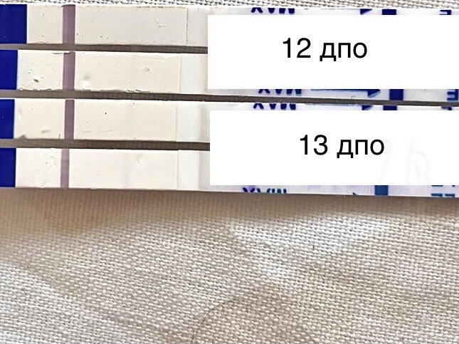 14 дпо