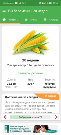 20 неделек