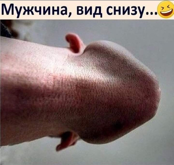 Фотография 2021-02-12 19:50:09