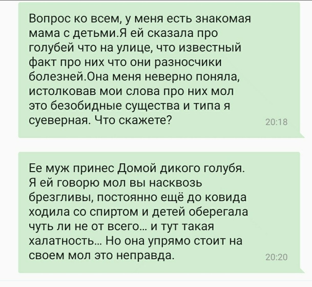 Безобидны ли голуби на