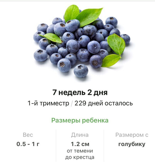 7 недель .