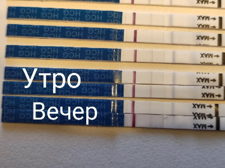 Хоть утром и показалось,
