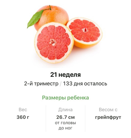 21 неделя .