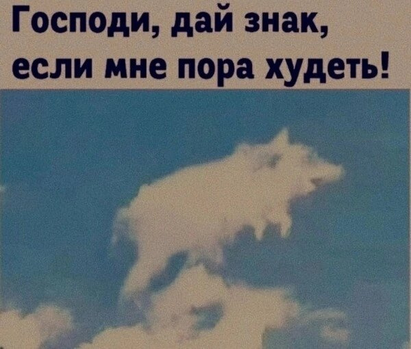 🙈🤣🤣🤣