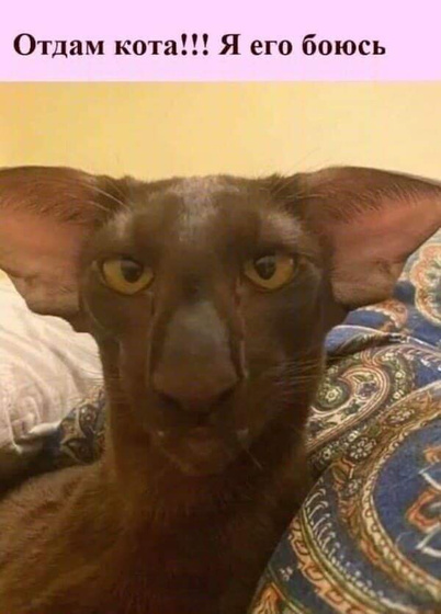 ?