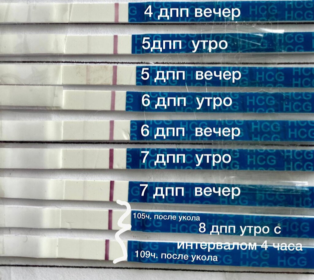 8 дпп криошки