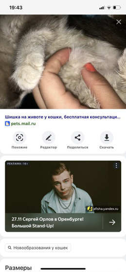Наркоз животным!