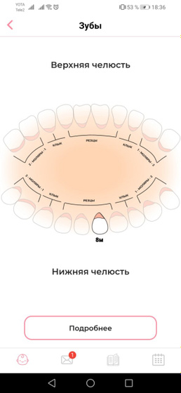 Первый наш зуб