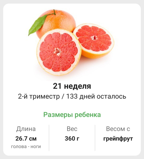 21 неделька. 🍊🍋