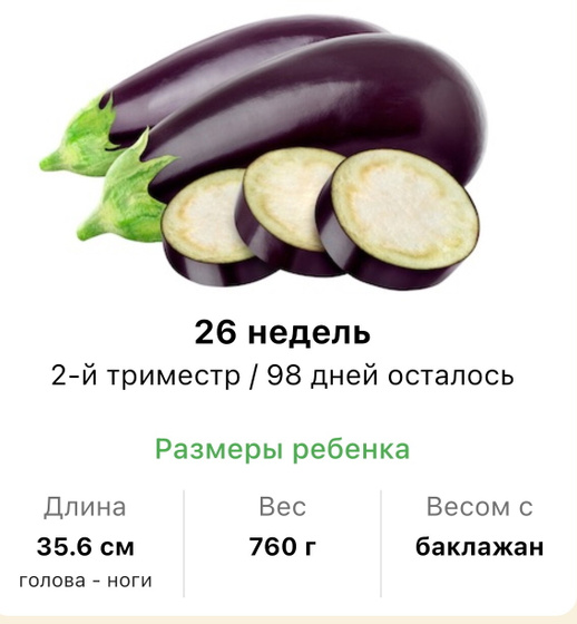 26 недель .